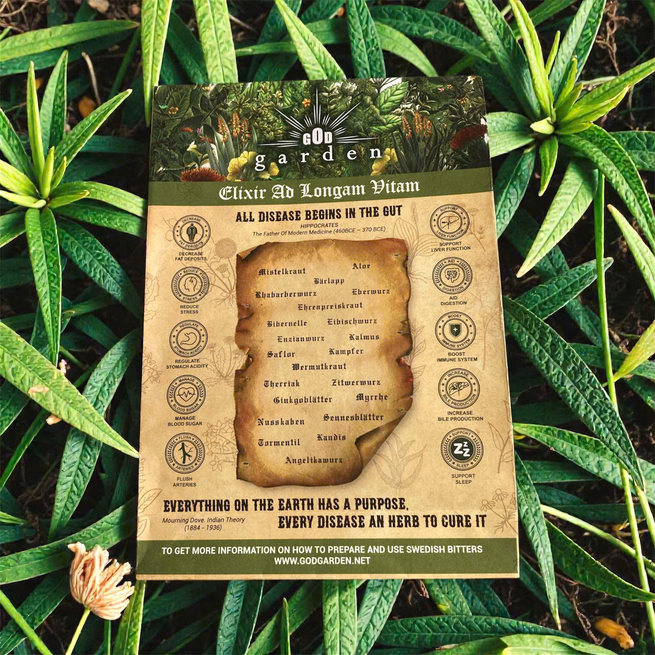 Swedish Bitters in details